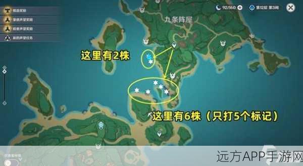 原神玩家必看，揭秘海灵芝高效采集地点与技巧