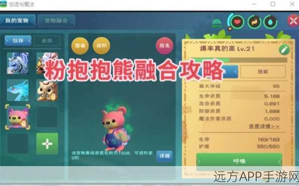 手游新宠，创造与魔法中抱抱熊的奇妙作用全解析