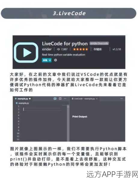 手游开发者必备，VSCode Python插件打造高效开发环境，揭秘变量管理新技巧