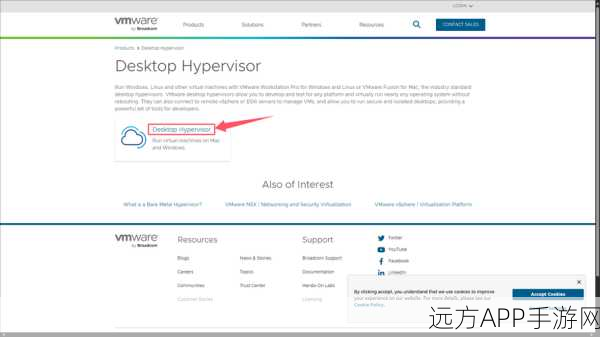 手游开发者福音，VMware Fusion虚拟机助力Ignite工具实现批量管理新飞跃