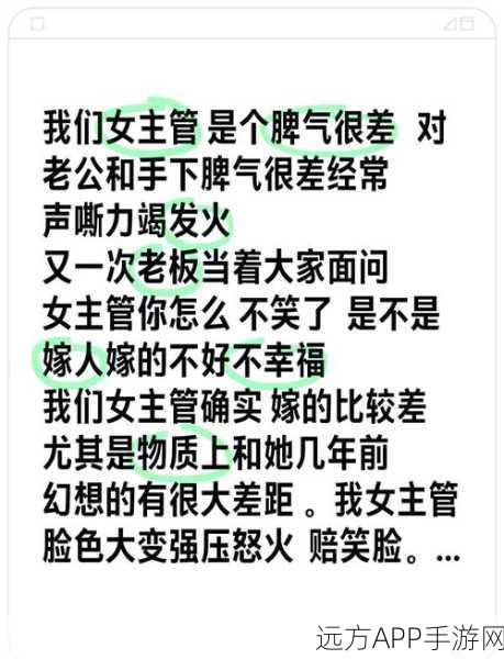 职场情场双丰收，职场与生活女友攻略全面解析，助你征服双重挑战