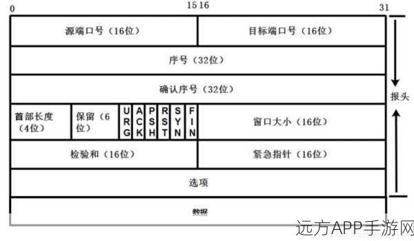 手游网络新纪元，QUIC加密通道深度揭秘及TCP与UDP融合实践