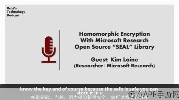 手游安全新纪元，Microsoft SEAL同态加密技术揭秘