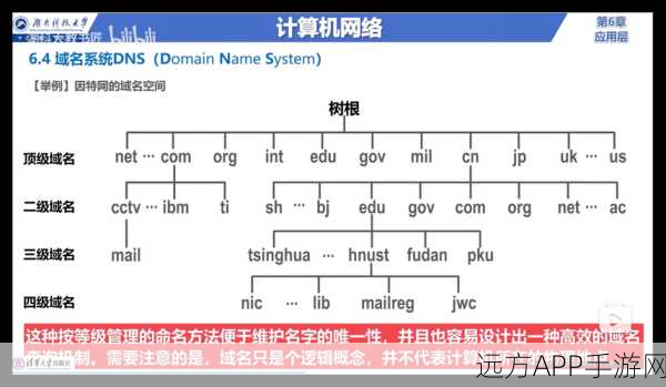 DNSProxy，手游玩家必备！优化域名查询，提升游戏流畅度