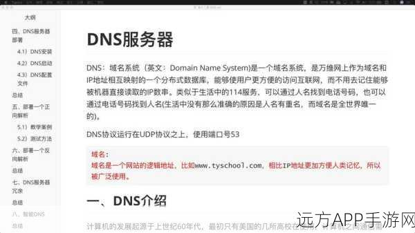 DNSProxy，手游玩家必备！优化域名查询，提升游戏流畅度