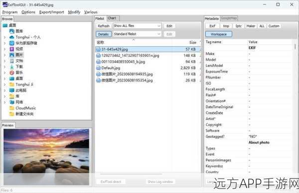 手游开发者必备，ExifTool在元数据编辑中的精妙运用