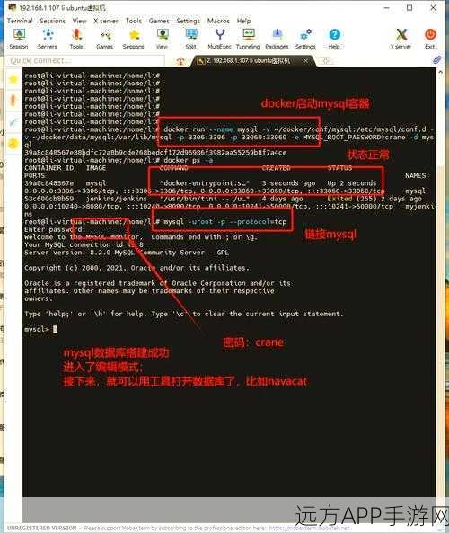 手游开发者必看！Windows系统下MySQL数据库搭建全攻略