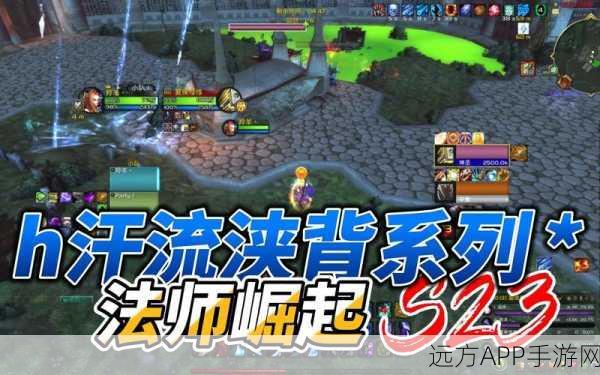 魔兽世界国服PVP巅峰对决，荣耀法师的辉煌战纪