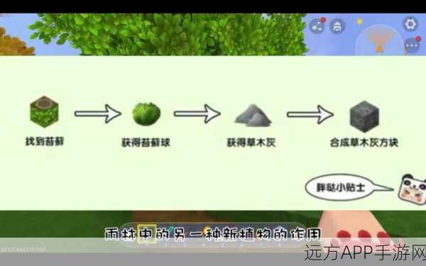 迷你世界深度解析，草木灰方块获取攻略与实用功能揭秘