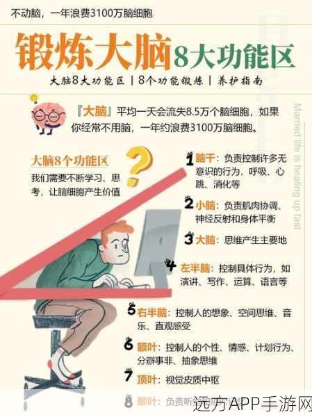 手游玩家必看，睡眠中大脑运动助力游戏技能提升？