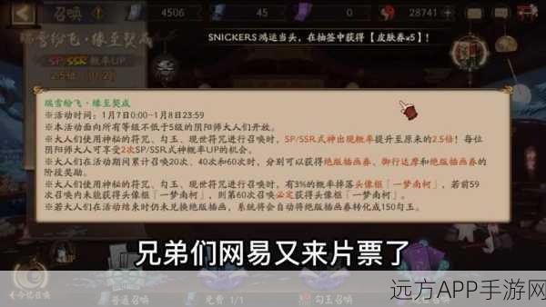 阴阳师，淬炼之屿深度攻略，解锁全新挑战与丰厚奖励