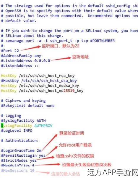 手游新宠，Pluggable——基于SSH4协议的轻量级Web应用革新游戏体验