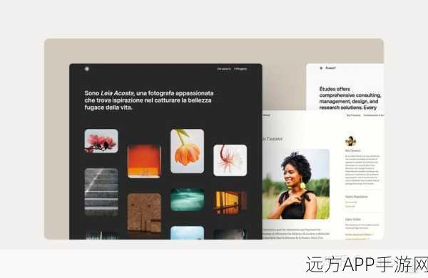 WordPress iOS应用，手游玩家必备的网站管理神器，助力内容创作与运营