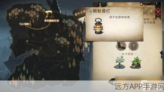 哈利波特魔法觉醒,禁林探险全攻略,解锁神秘宝藏!