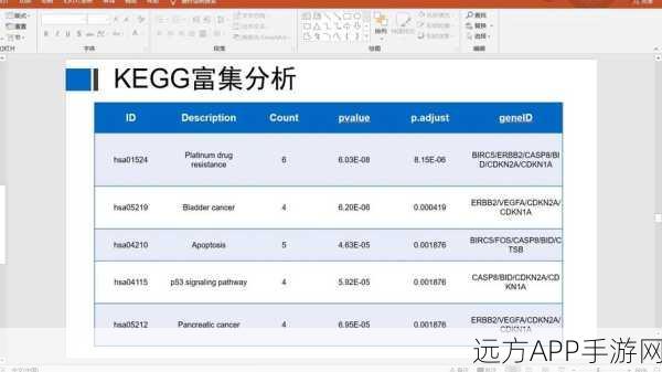 手游研发新突破，MBRole助力代谢物KEGG通路富集分析大赛