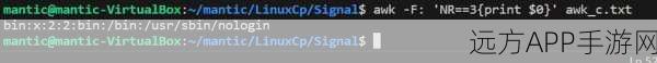 手游开发者必备，掌握AWK编程中的$NF，解锁游戏数据处理新技能