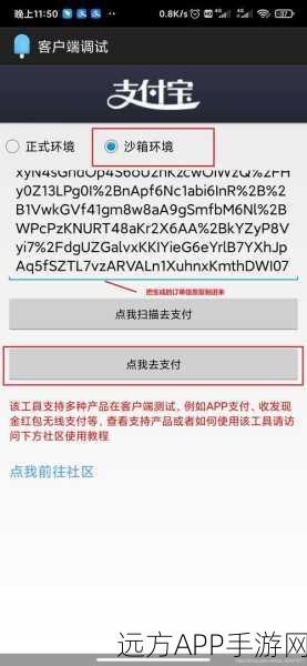 手游开发者必看，支付宝沙箱支付全攻略，助力游戏内购无缝对接