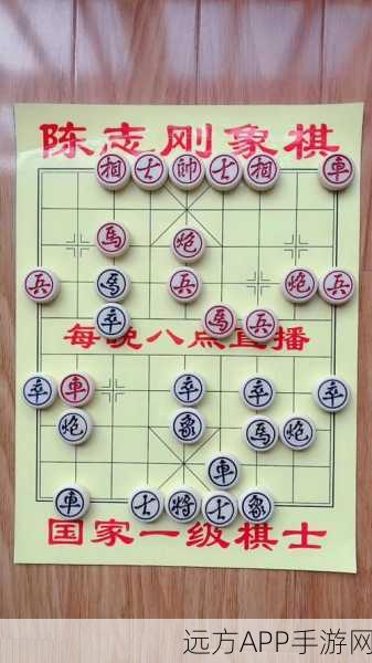 象棋大师揭秘，防守布局中的智谋与策略，深度解析经典赛事