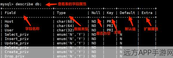 手游开发者必备，数据库优化实战——MySQL字段值去空格技巧揭秘