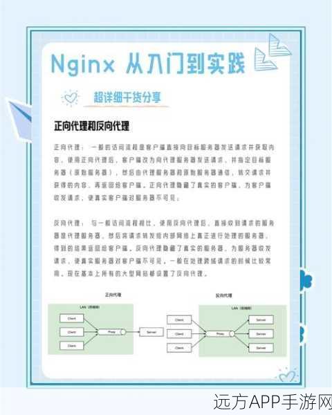 手游开发必备，Nginx前后端分离项目代理配置实战指南