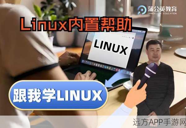 手游开发幕后揭秘，Linux内核Spinlock如何助力游戏性能优化？