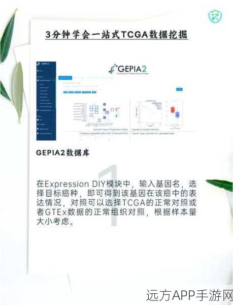 手游开发者必看，PaddleSlim助力图像处理模型压缩大赛实战解析