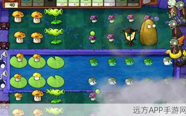 植物大战僵尸年度版下载安装_特别好玩的休闲益智游戏