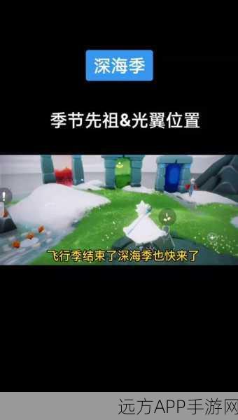 光遇藏宝岛礁全攻略,解锁神秘宝藏,一步步教你完成任务!