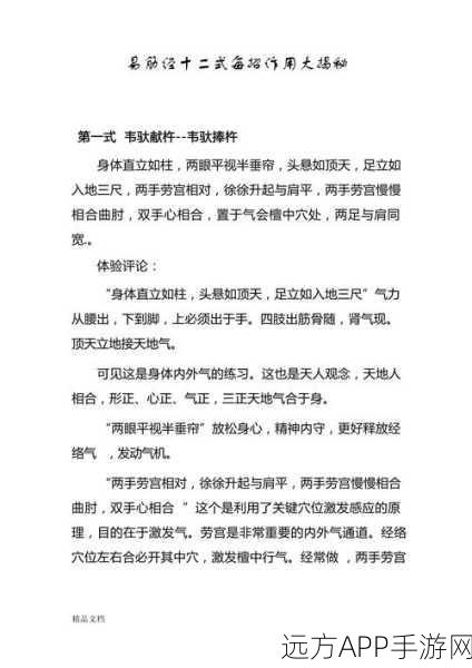 烟雨江湖,易筋经秘籍极速掌握秘籍大揭秘
