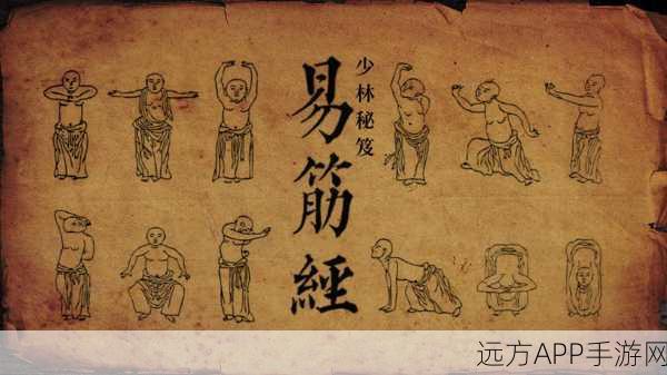 烟雨江湖,易筋经秘籍极速掌握秘籍大揭秘