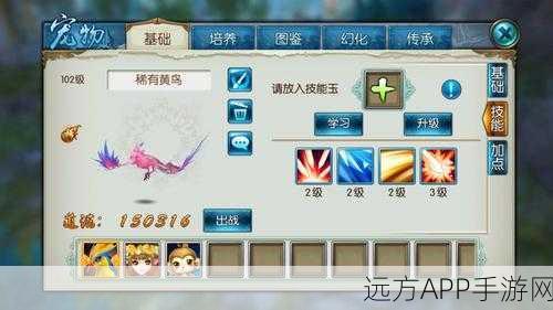 诛仙手游宠物黄鸟必备技能大揭秘