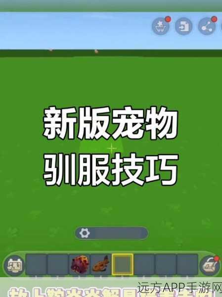 迷你世界新版本揭秘，驯服牛儿新技巧大公开！