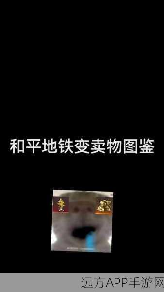 和平精英地铁模式,揭秘五大顶级珍稀变卖物,大金龙竟未入列!