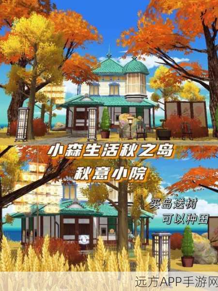 小森生活,揭秘成为小森生活岛主的独家攻略