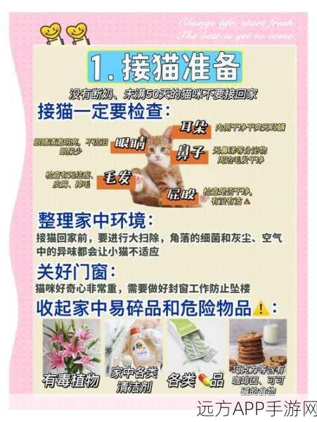 我的世界养猫秘籍，轻松驯服萌宠猫咪，打造温馨家园