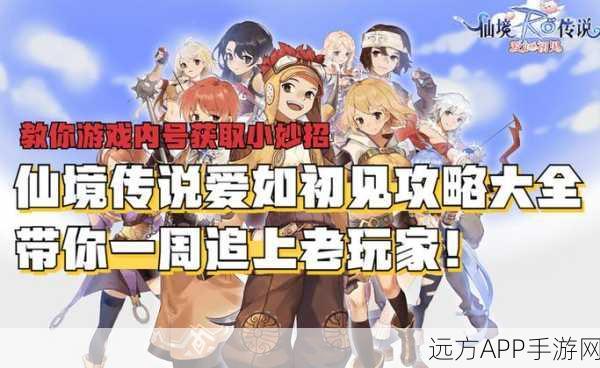 仙境传说爱如初见,新手职业抉择秘籍