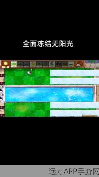 植物大战僵尸全面冻结通关秘籍,策略与技巧大揭秘