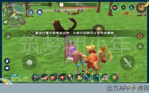手游资讯，望舒丹桂坐骑全攻略，解锁创造与魔法独特魅力