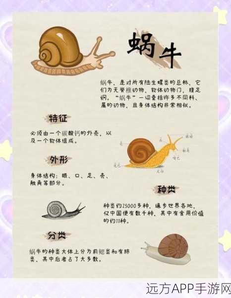 揭秘最强蜗牛秘宝系统深度攻略,寻宝技巧与珍稀宝藏全解析