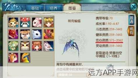 诛仙手游宠物系统全揭秘,萌狗宠物属性、技能培养攻略及宠物大赛亮点