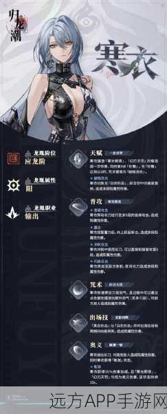 稀有职业揭秘,探究天下3中男龙巫为何如此稀缺