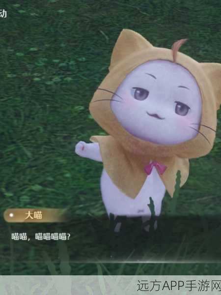 无限暖暖喵喵和帽帽任务通关秘籍大揭秘