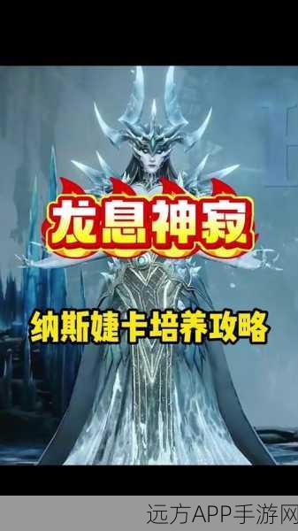 龙息神寂阿尔维斯咋玩?来看详细玩法助你实战!
