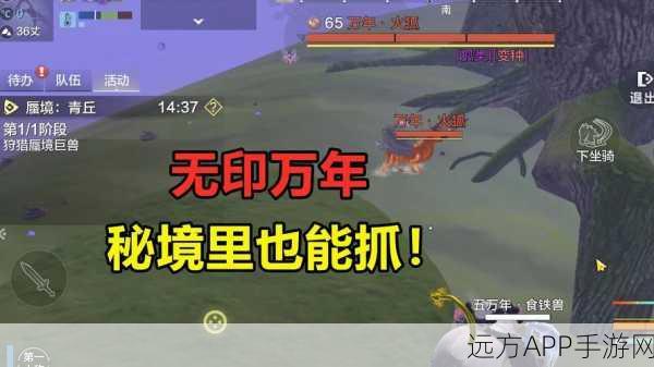 妄想山海探秘，揭秘古猿部落的隐藏位置与丰富玩法