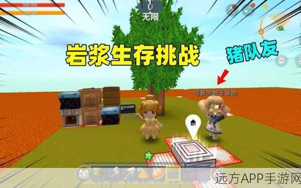 迷你世界瓶子生存挑战深度解析，智慧与冒险的双重盛宴