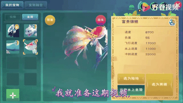 揭秘创造与魔法手游,独家鸟饲料配方大公开,助你驯服稀有飞禽!