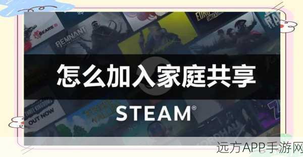 Steam家庭共享功能全攻略,轻松建立家庭游戏库