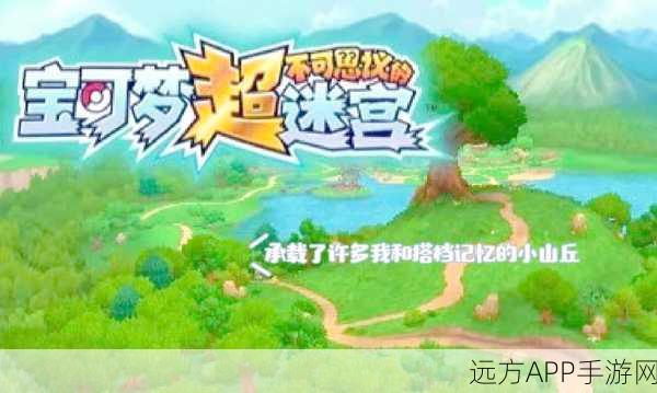 揭秘神都夜行录璇宫深幽，精选通关阵容，探索迷宫终极秘密