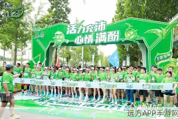 洛克王国沙滩排球活动编号揭秘,精彩赛事细节全解析
