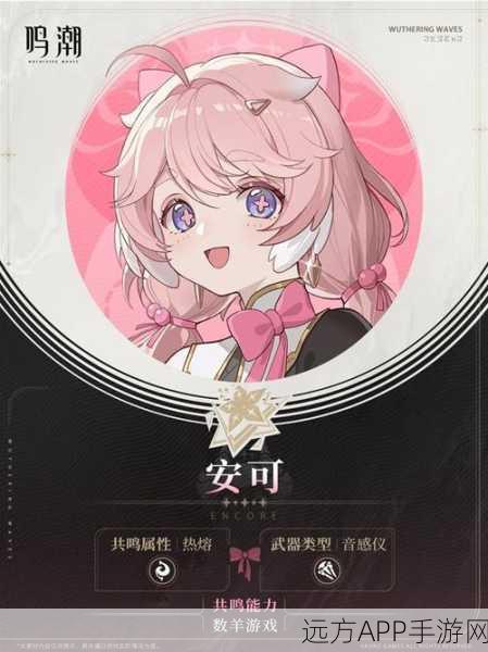 鸣潮新角色安可深度剖析,强度评级与实战定位全揭秘